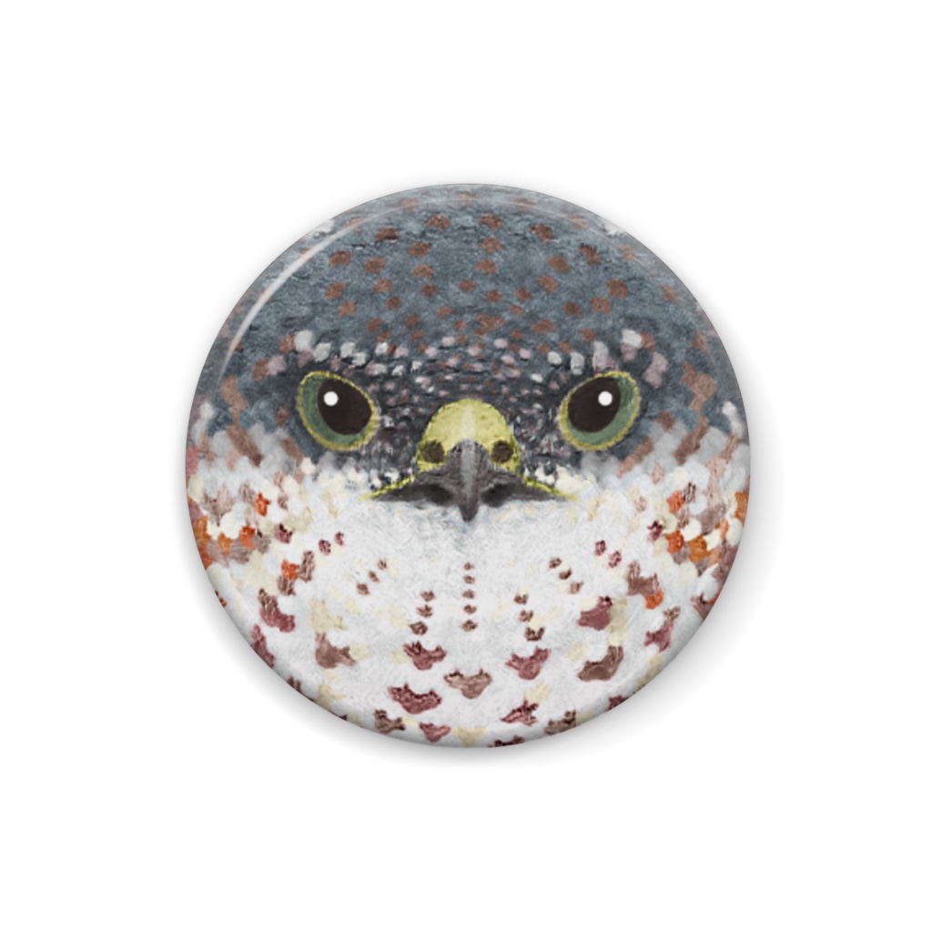 ツミ、幼鳥【まるい鳥の顔の缶バッチ】猛禽類タカ科（雀鷹）