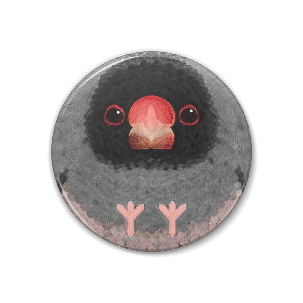 カオグロ文鳥、オス【まるい鳥の缶バッチ】