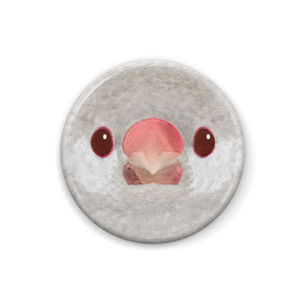 文鳥、イノ、メス【まるい鳥の顔の缶バッチ】