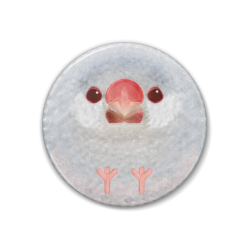 文鳥、シルバーイノ、オス【まるい鳥の缶バッチ】