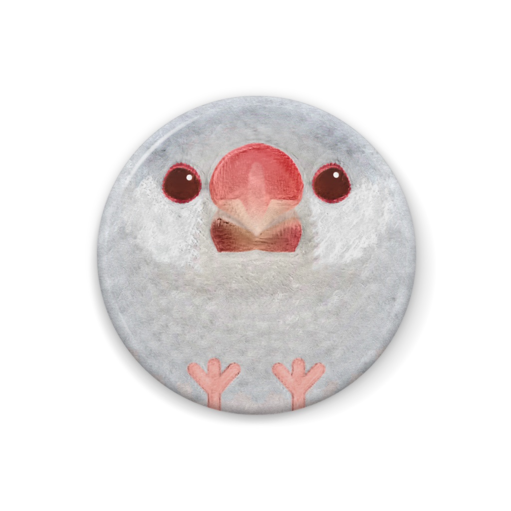 文鳥、シルバーイノ、オス【まるい鳥の正面の缶バッチ】