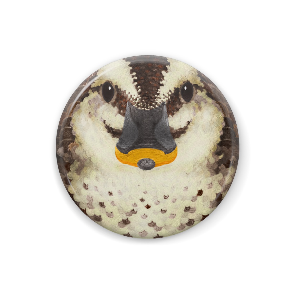 カルガモ、オス【まるい鳥の正面の缶バッチ】留鳥