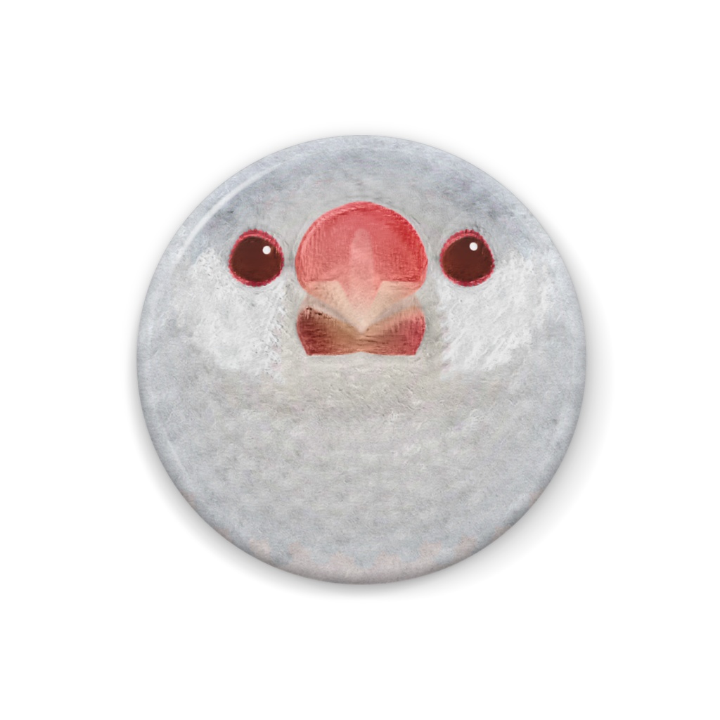 文鳥、シルバーイノ、オス【まるい鳥の正面の缶バッチ】