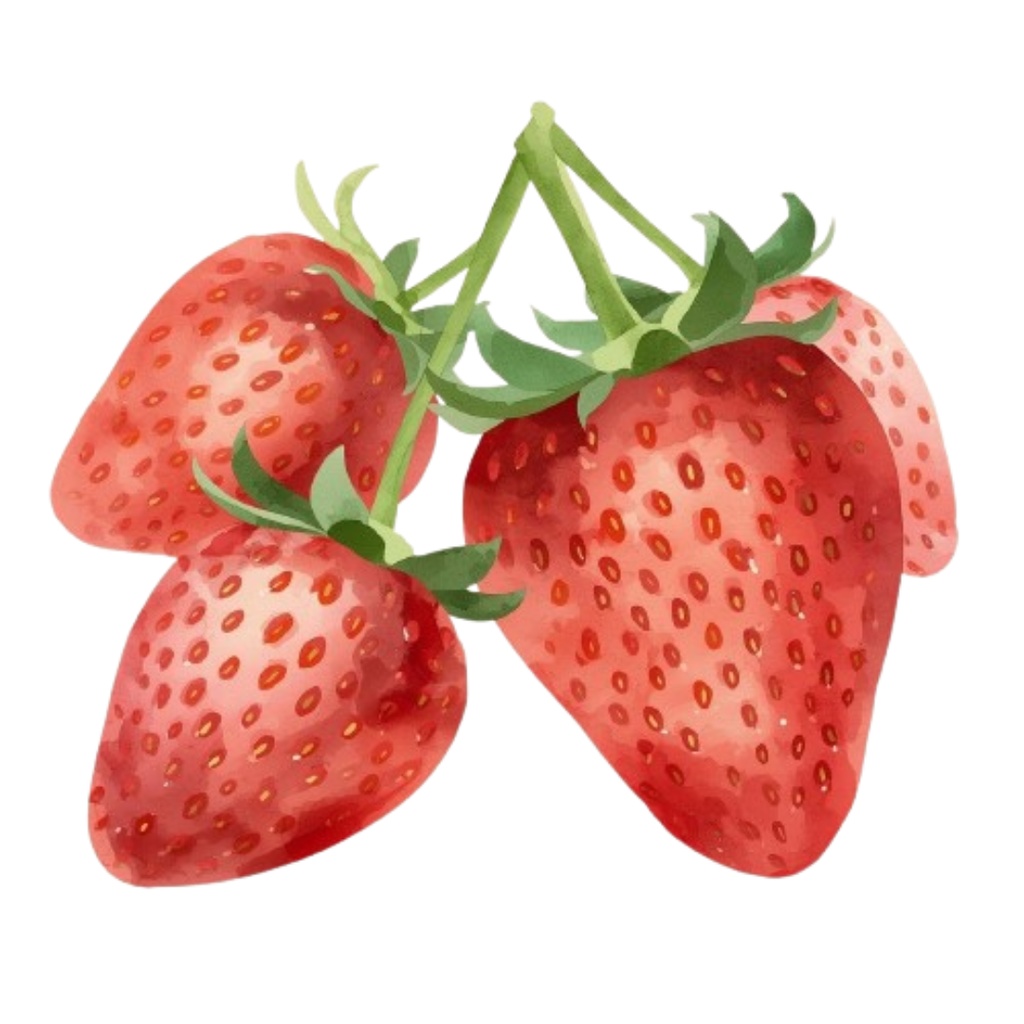 水彩画風・アンティーク 果物クリップアート 10点セット(PNG形式)