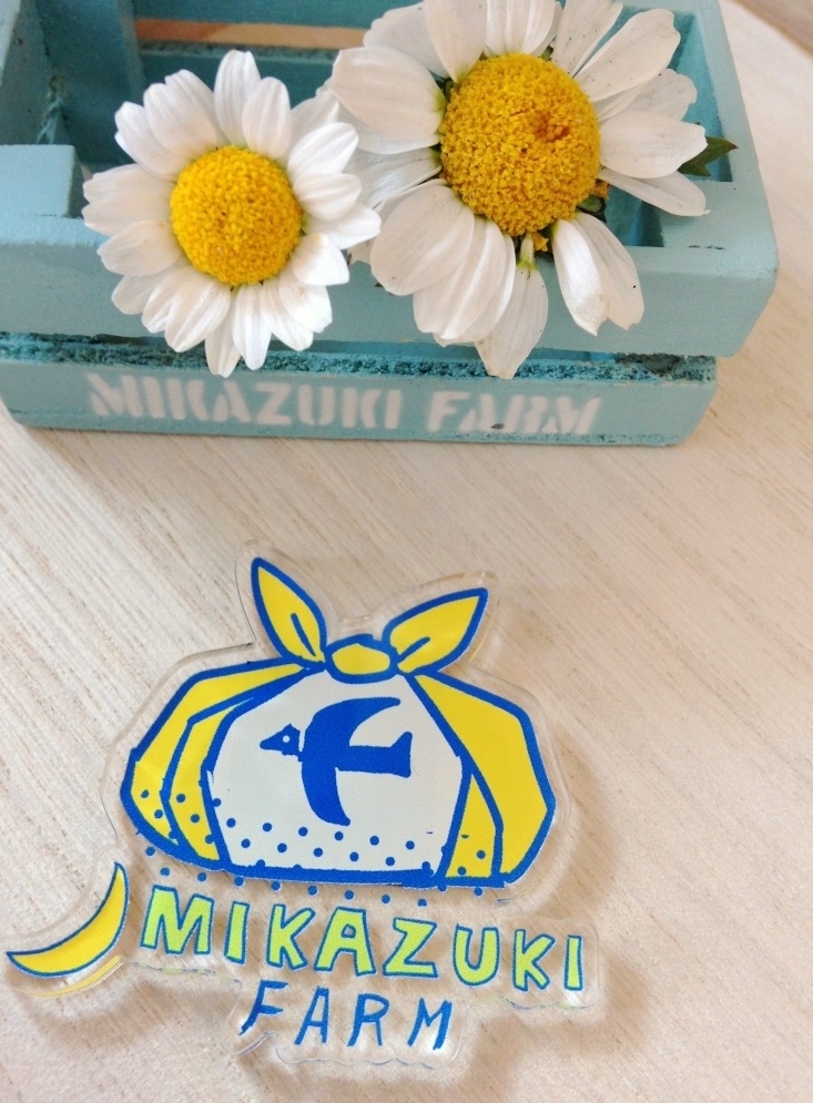 みかマグネット　B-12