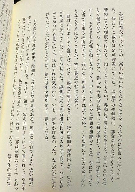 梅のある海べりの庭