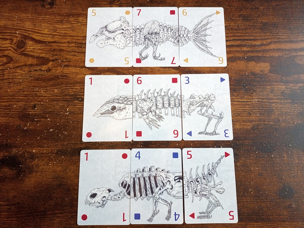 【カードゲーム】fossil(フォッシル)