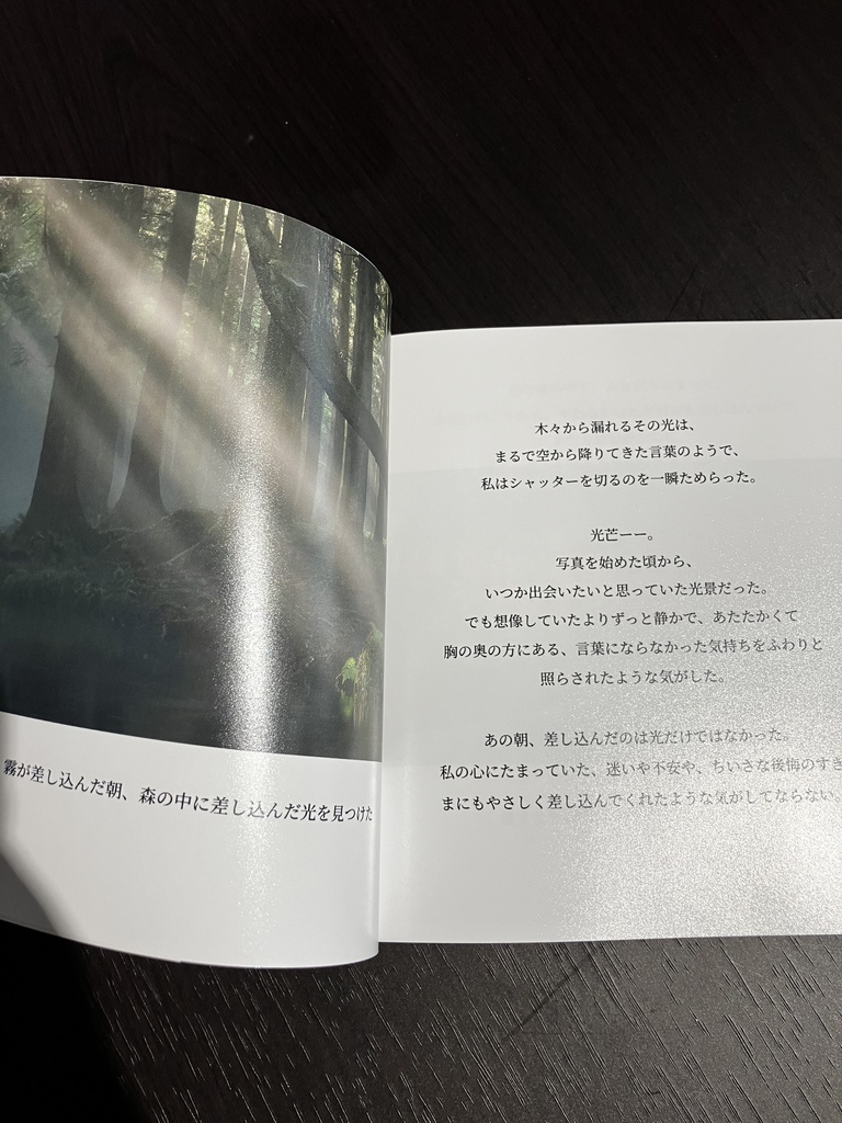 フォトエッセイ 光のすきまに、言葉を置いて