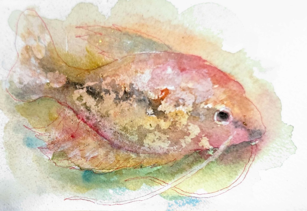 手描きハガキリクエスト