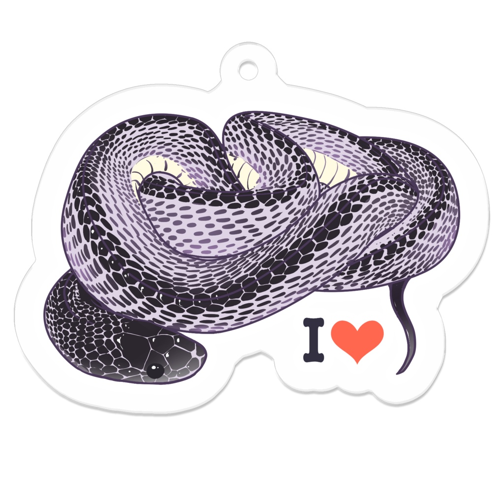 クロスサンカクヘビ  アクキー