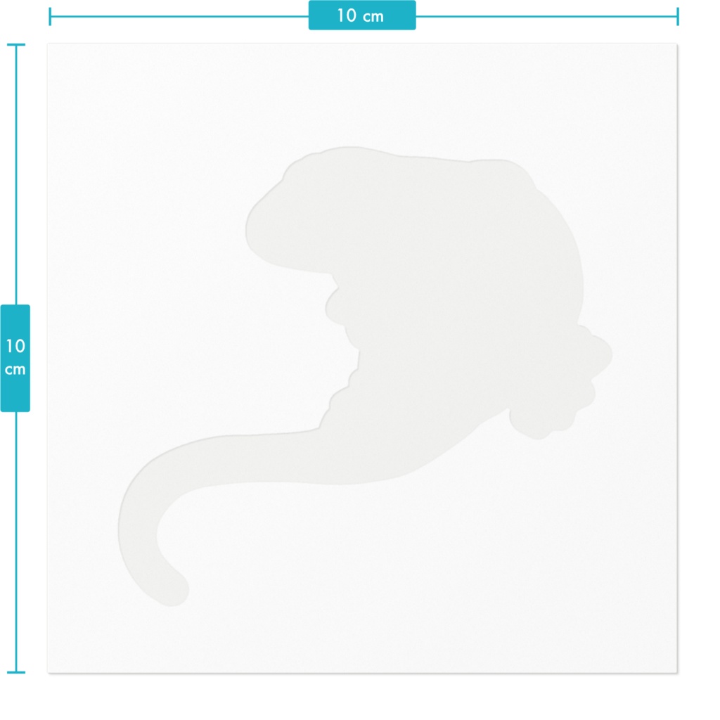 ニホンヤモリ🦎ステッカー