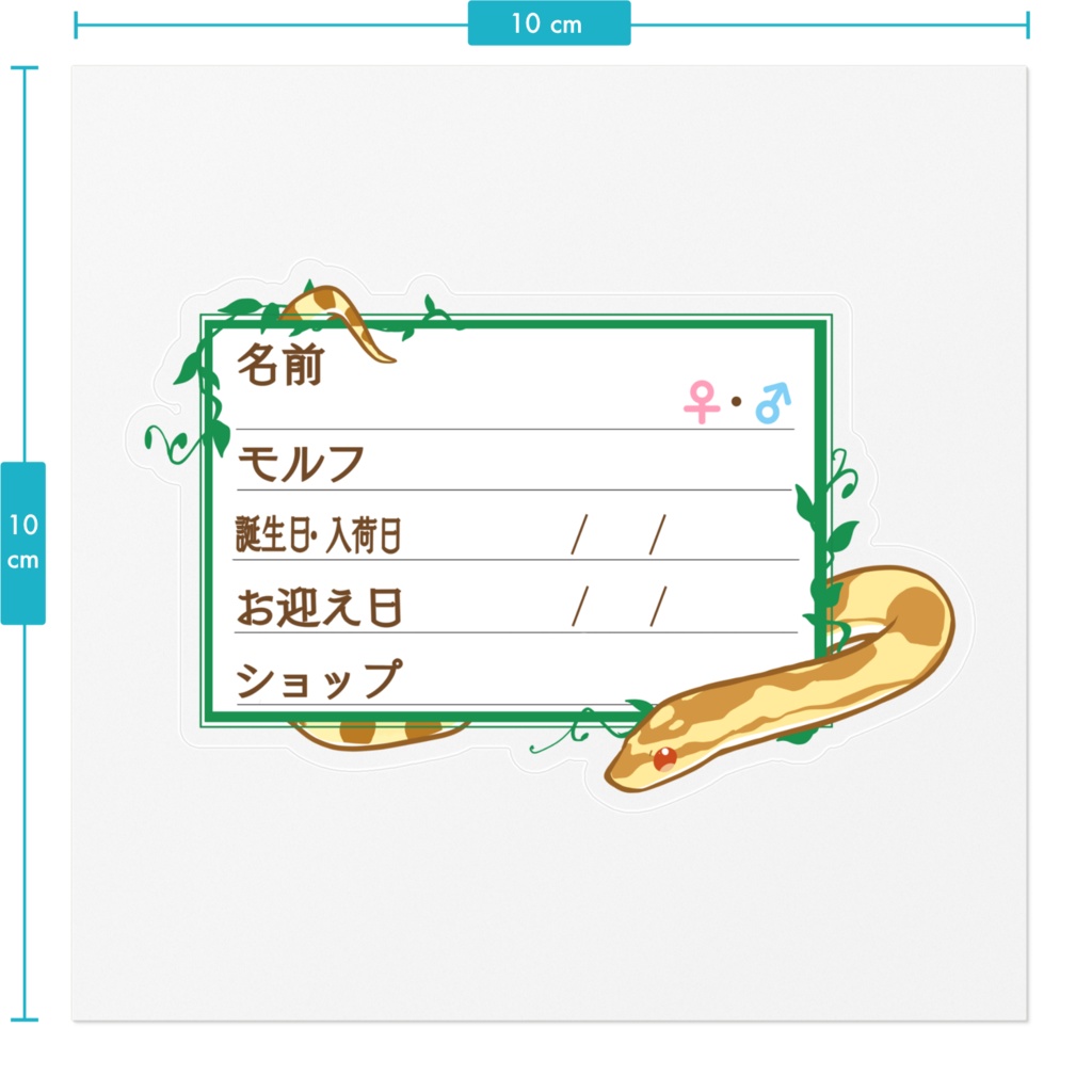 ãðãååã¹ããã«ãŒãæ 11çš®é¡ ã³ãŒã³ã¹ããŒã¯(ãã¿ãŒ)