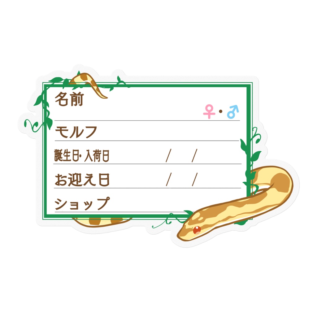 【🐍お名前ステッカー】枠11種類 コーンスネーク(バター)