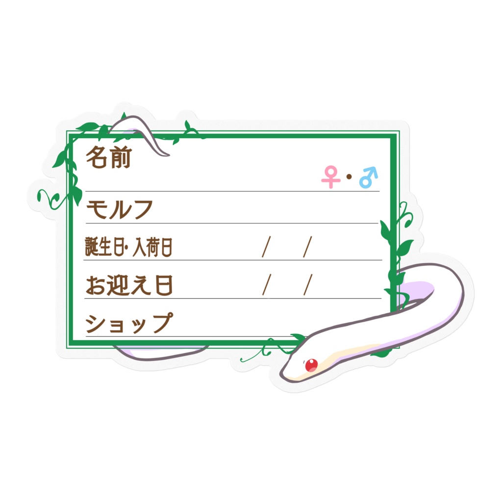 【🐍お名前ステッカー】枠11種類 コーンスネーク(ブリザード)