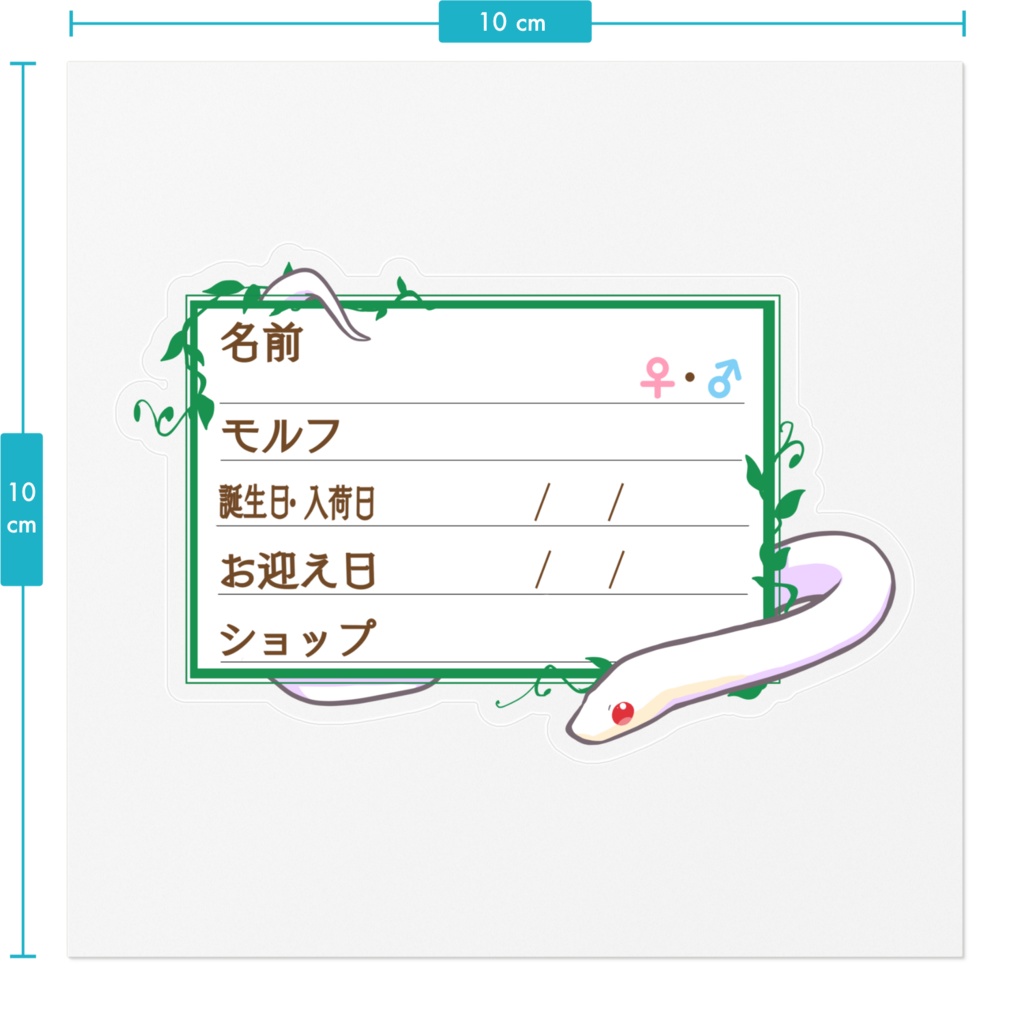 【🐍お名前ステッカー】枠11種類 コーンスネーク(ブリザード)