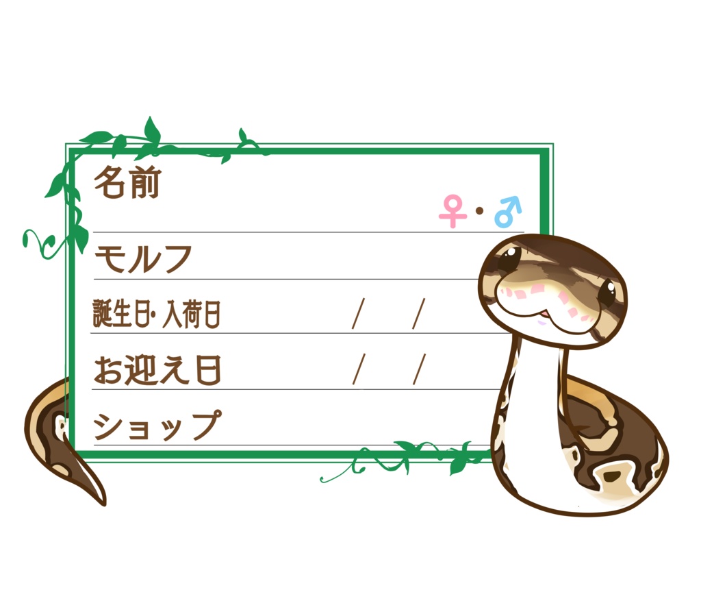 ダウンロード版【お名前ステッカー🐍】枠11種類セット ボールパイソン(ノーマルミニ)