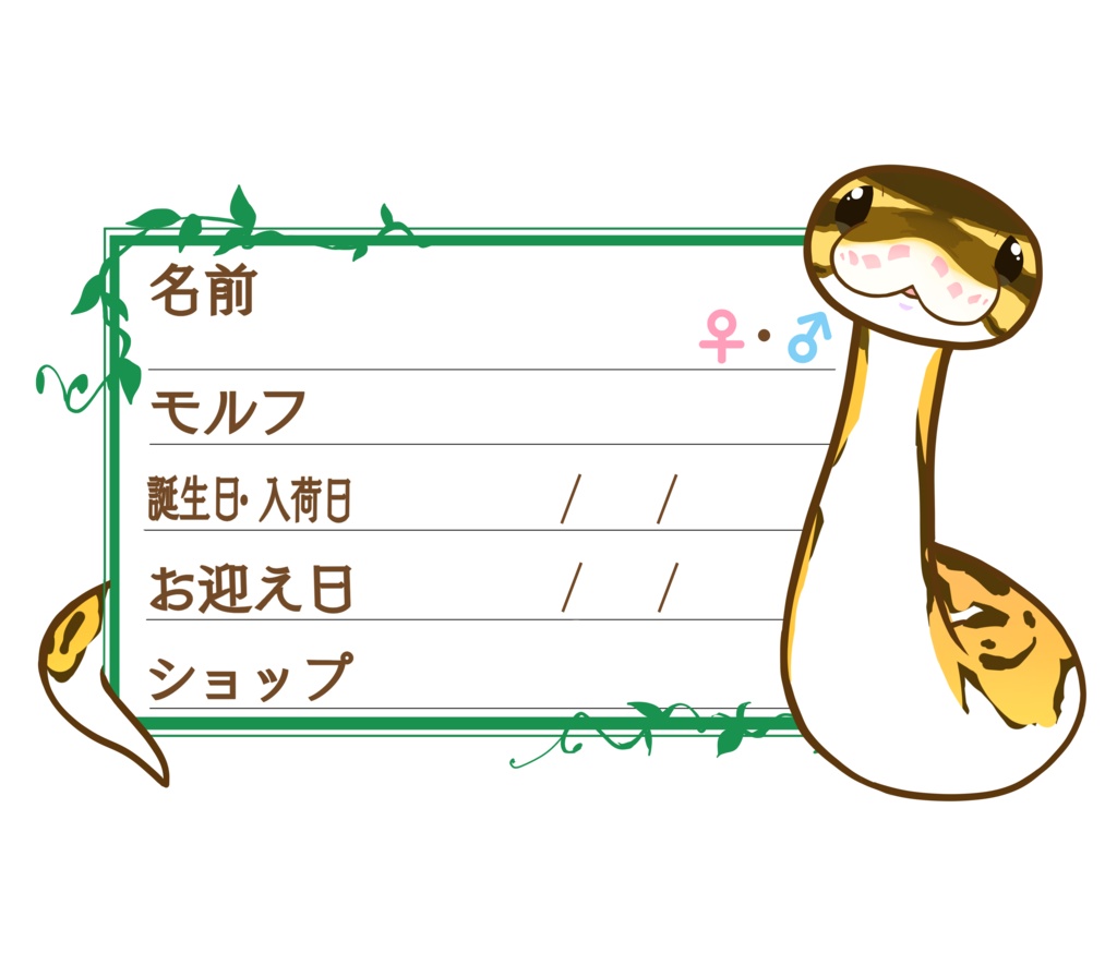 ダウンロード版【お名前ステッカー🐍】枠11種類セット ボールパイソン(パイボール)