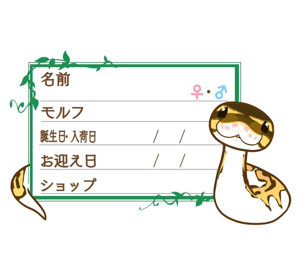 ダウンロード版【お名前ステッカー🐍】枠11種類セット ボールパイソン(パイボールミニ)