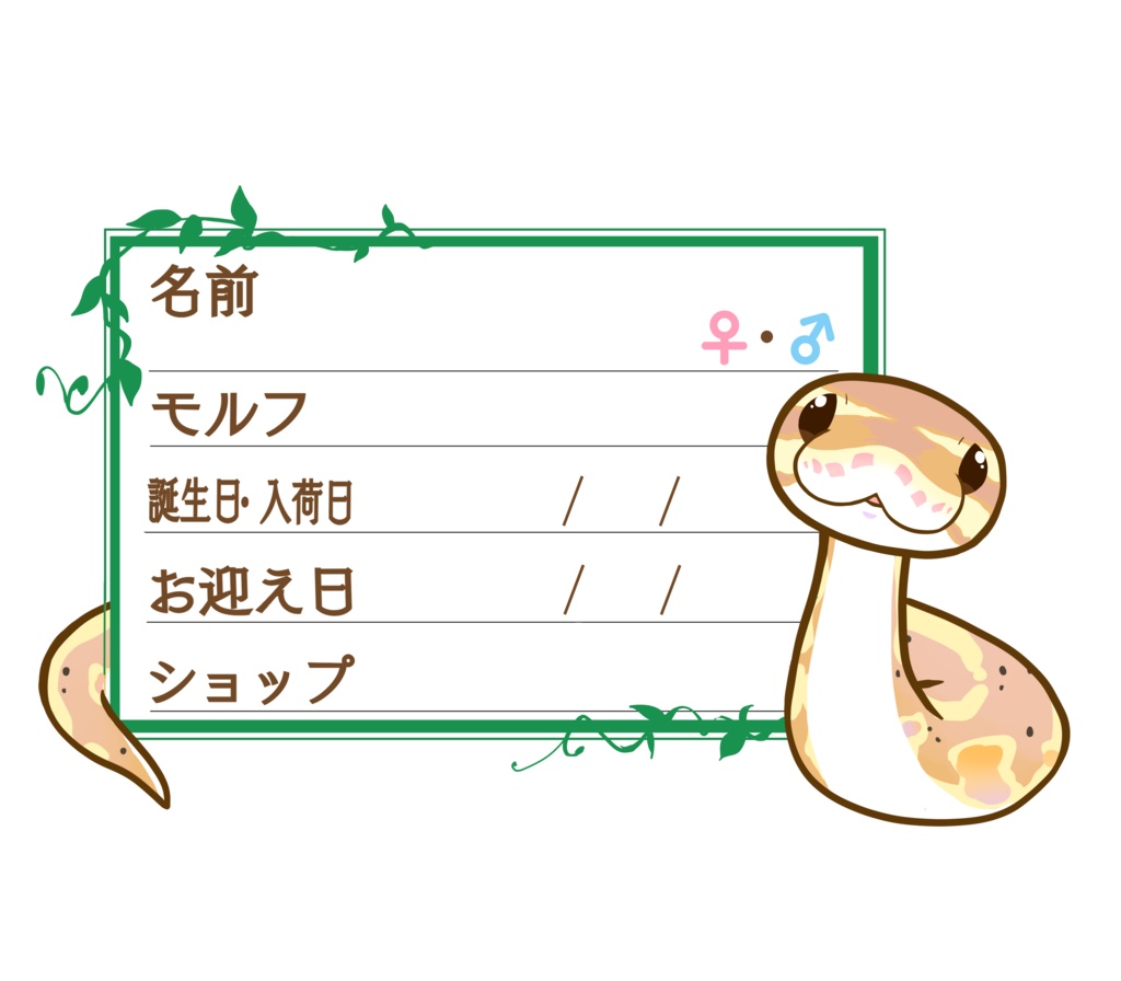 ダウンロード版【お名前ステッカー🐍】枠11種類セット ボールパイソン(バナナミニ)