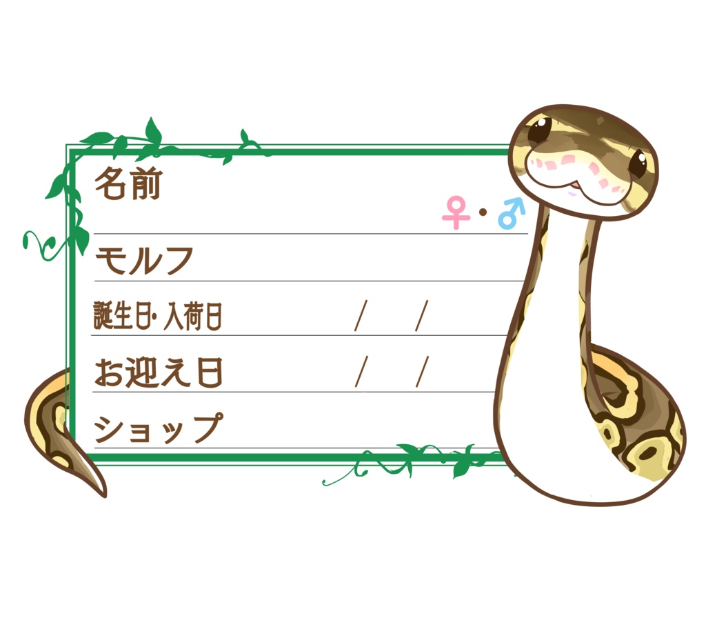 ダウンロード版【お名前ステッカー🐍】枠11種類セット ボールパイソン(ボンゴレッサー)