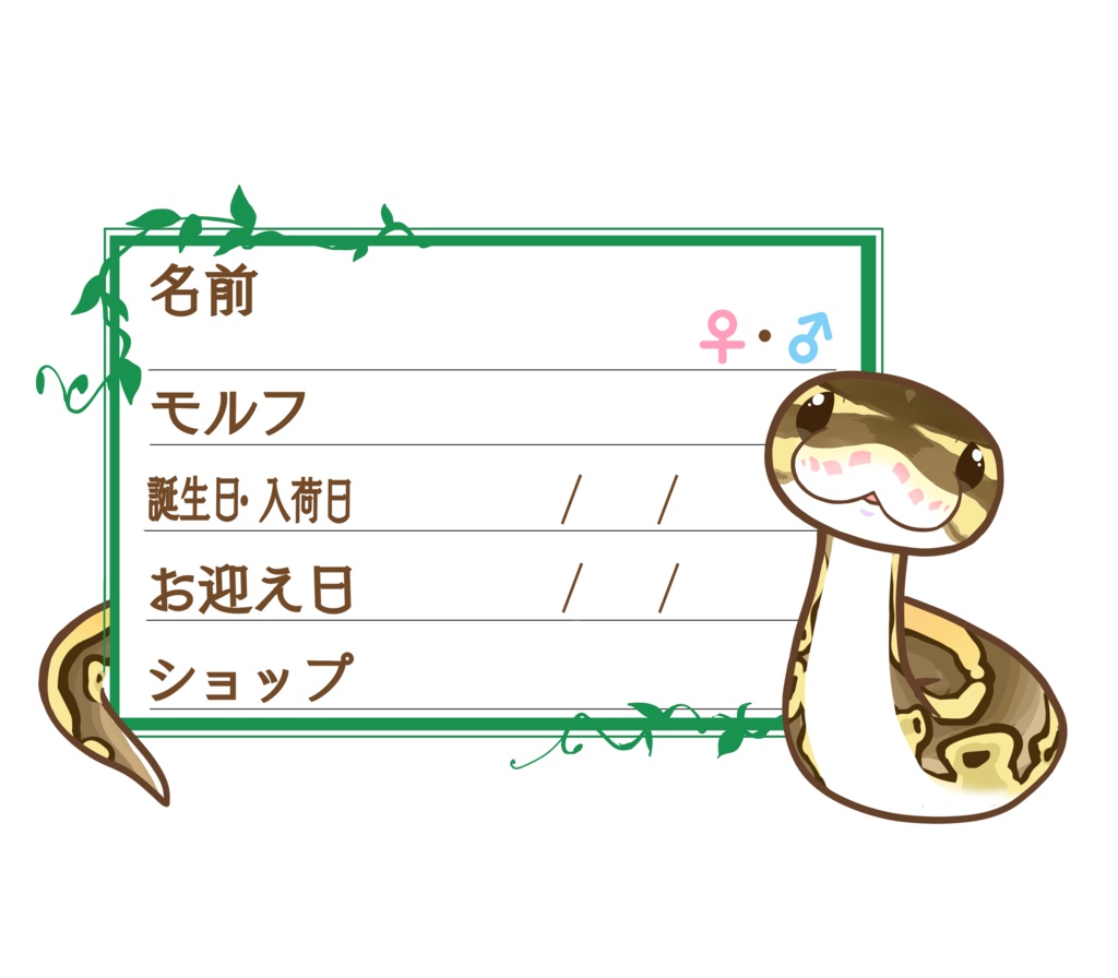 ダウンロード版【お名前ステッカー🐍】枠11種類セット ボールパイソン(ボンゴレッサーミニ)