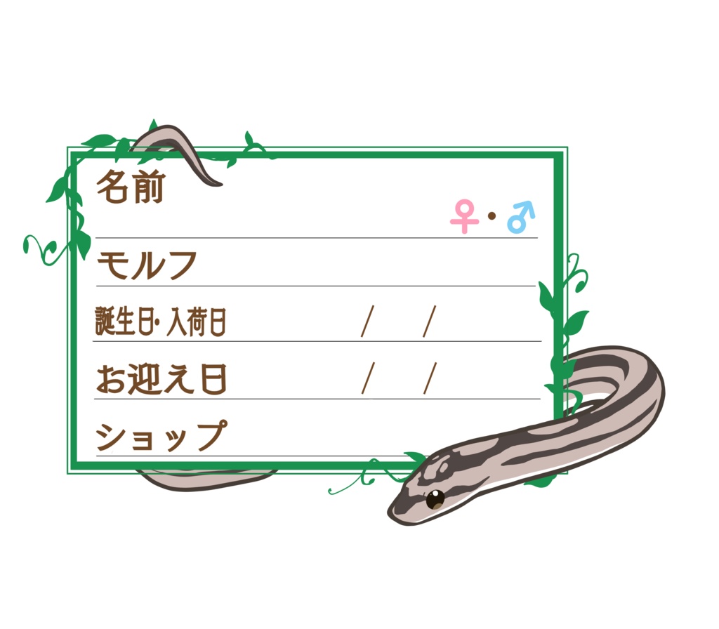 ダウンロード版【お名前ステッカー🐍】枠11種類セット コーン(アネリストライプモトレー)