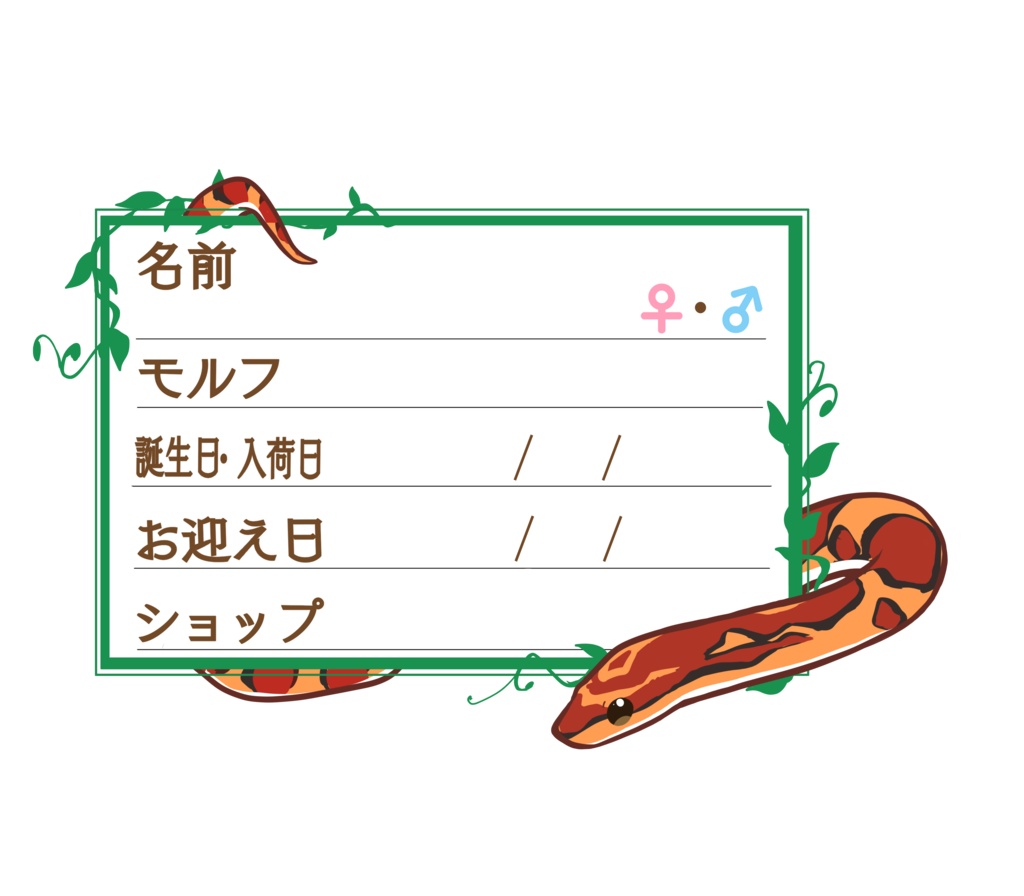 ダウンロード版【お名前ステッカー🐍】枠11種類セット コーン(ノーマル)