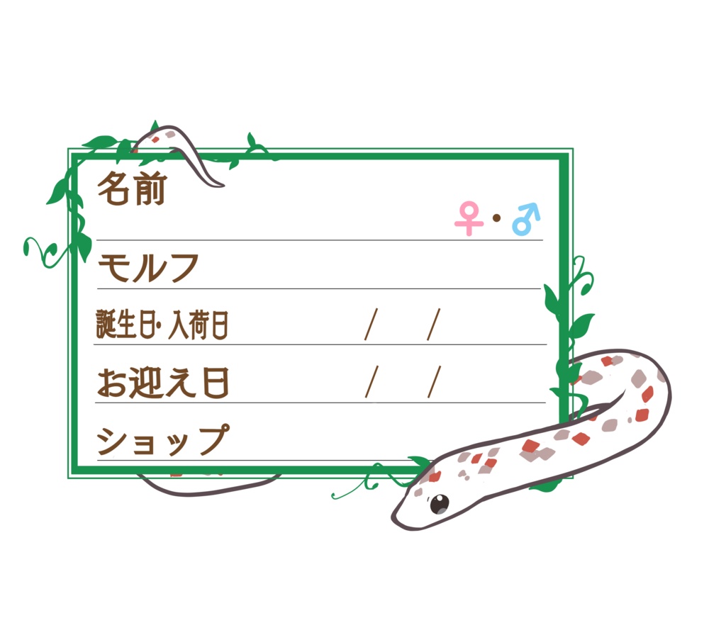 ダウンロード版【お名前ステッカー🐍】枠11種類セット コーン(パルメット)