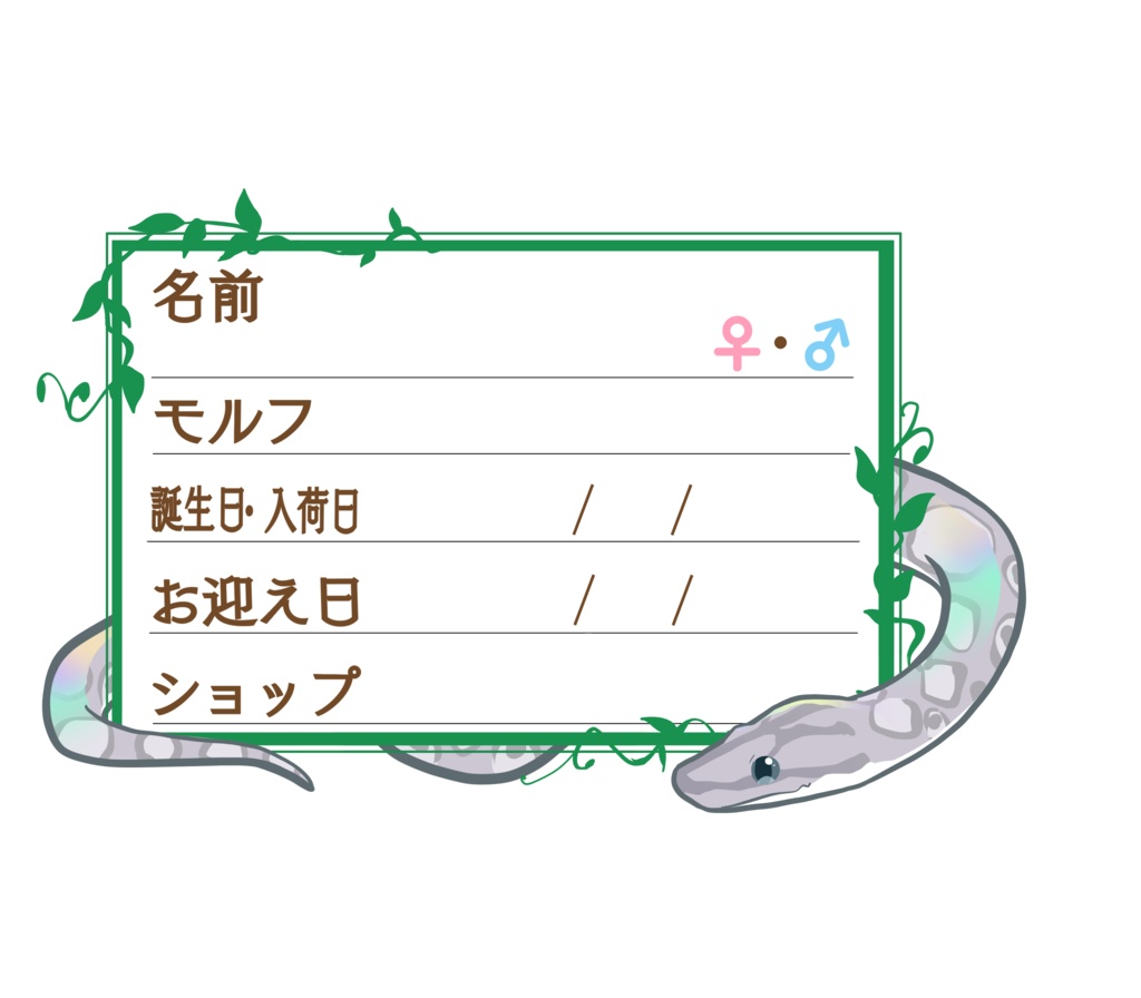 ダウンロード版【お名前ステッカー🐍】枠11種類セット コロニジ(アザン)