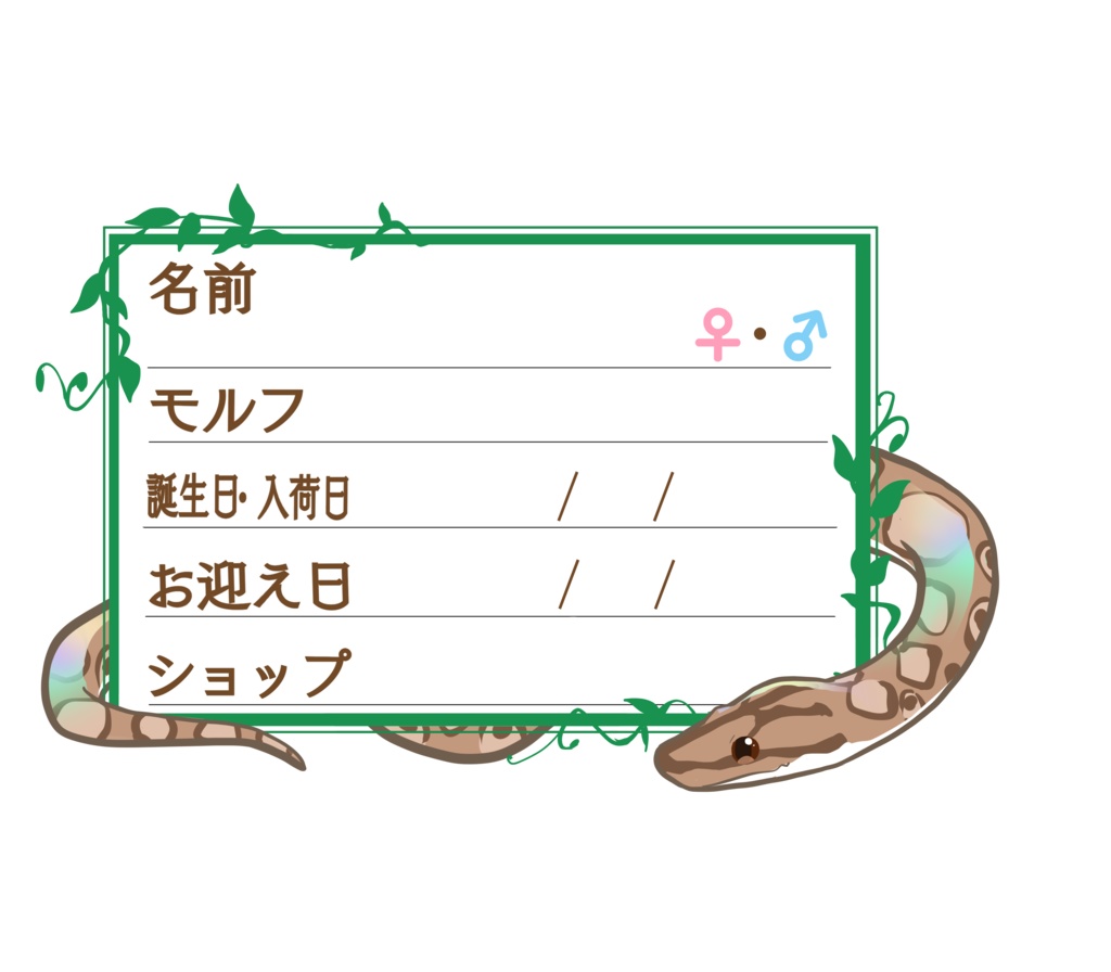 ダウンロード版【お名前ステッカー🐍】枠11種類セット コロニジ(ノーマル)