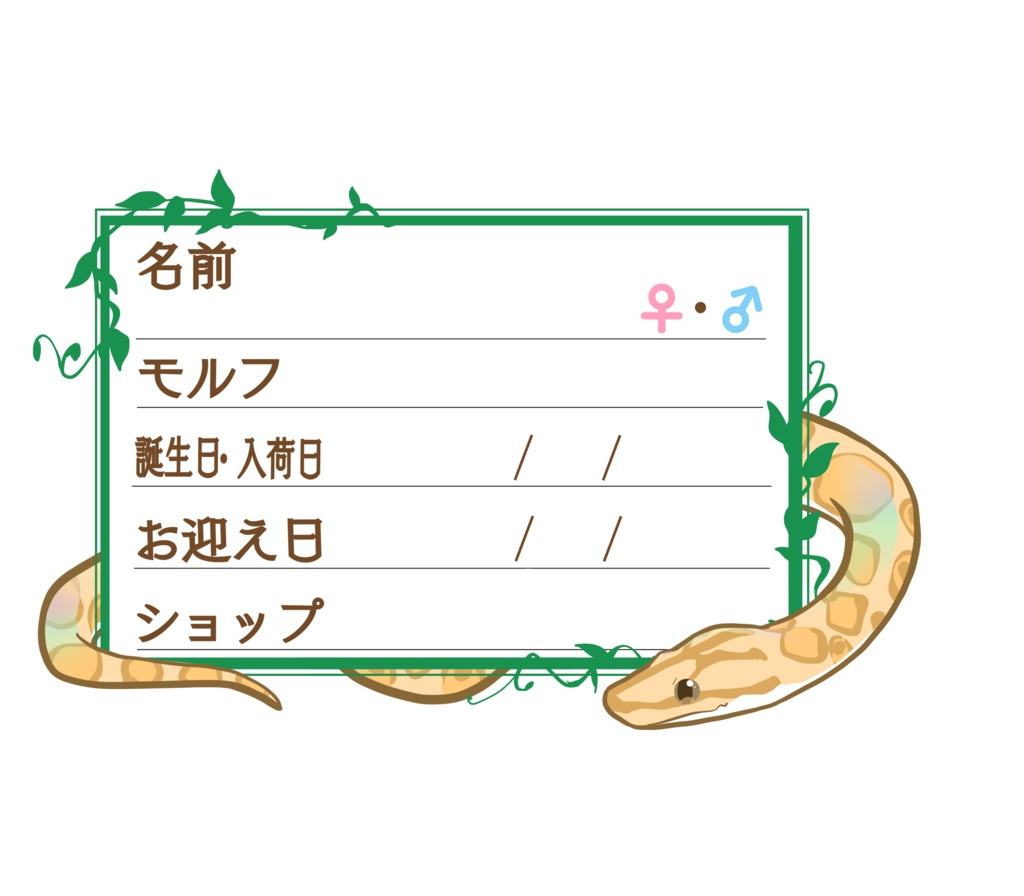 ダウンロード版【お名前ステッカー🐍】枠11種類セット コロニジ(パラディグマ)