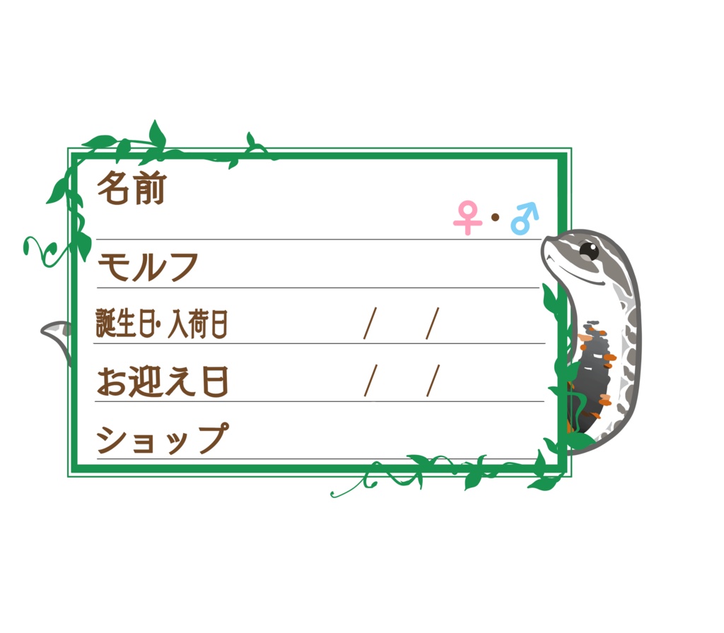 ダウンロード版【お名前ステッカー🐍】枠11種類セット シシバナ(アークティック)