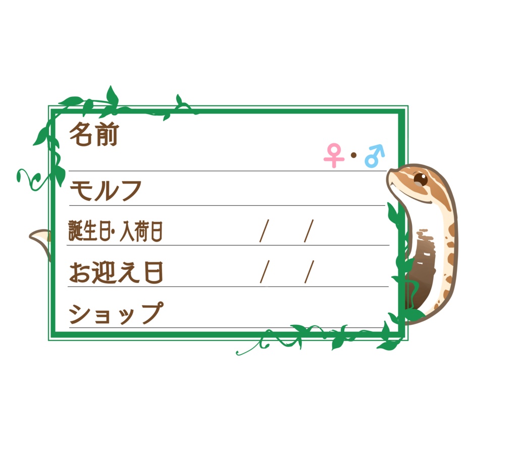 ダウンロード版【お名前ステッカー🐍】枠11種類セット シシバナ(アナコンダ)