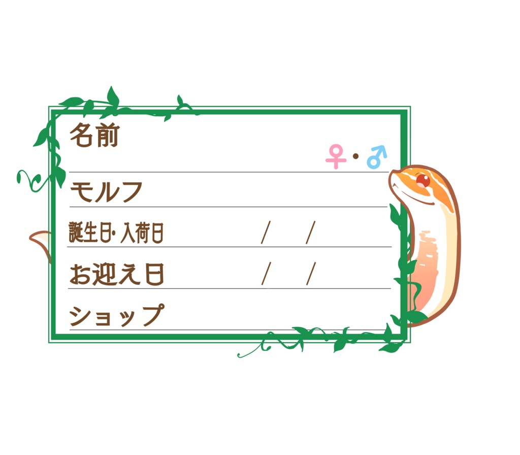 ダウンロード版【お名前ステッカー🐍】枠11種類セット シシバナ(アルビノスーパーコンダ)
