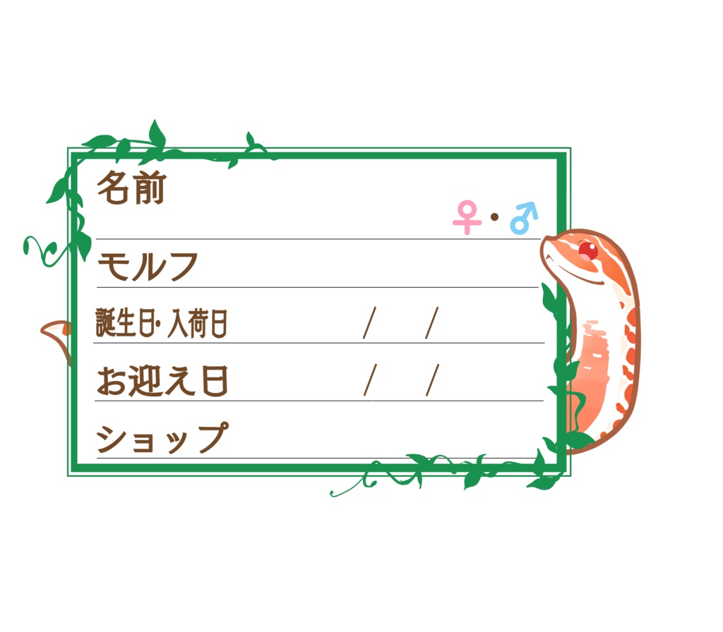 ダウンロード版【お名前ステッカー🐍】枠11種類セット シシバナ(エクストリームレッド)