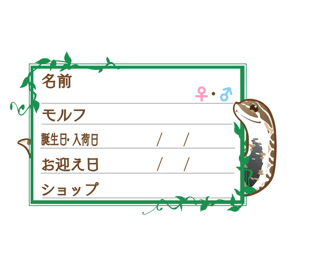 ダウンロード版【お名前ステッカー🐍】枠11種類セット シシバナ(ノーマル)