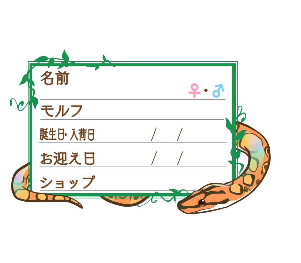 ダウンロード版【お名前ステッカー🐍】枠11種類セット ブラニジ(ノーマル)