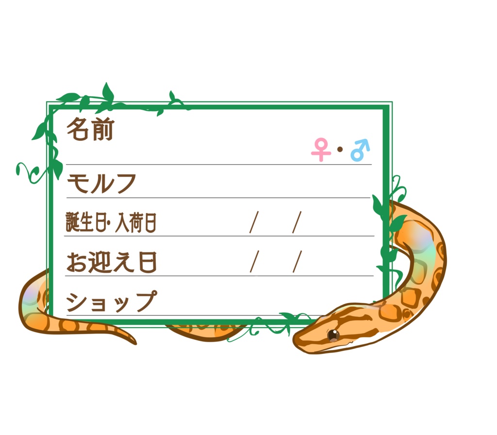 ダウンロード版【お名前ステッカー🐍】枠11種類セット ブラニジ(ハイポ)