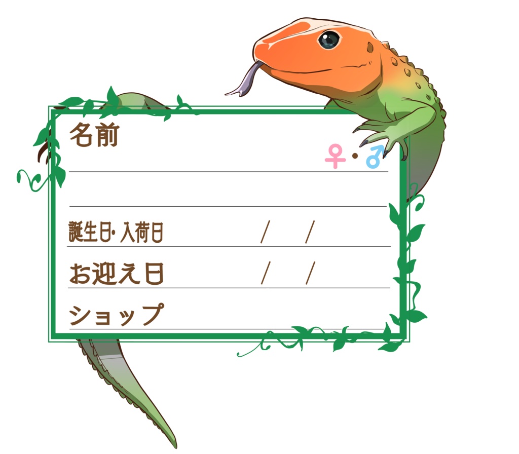 ダウンロード版【お名前ステッカー🦎】枠11種類セット カイマントカゲ