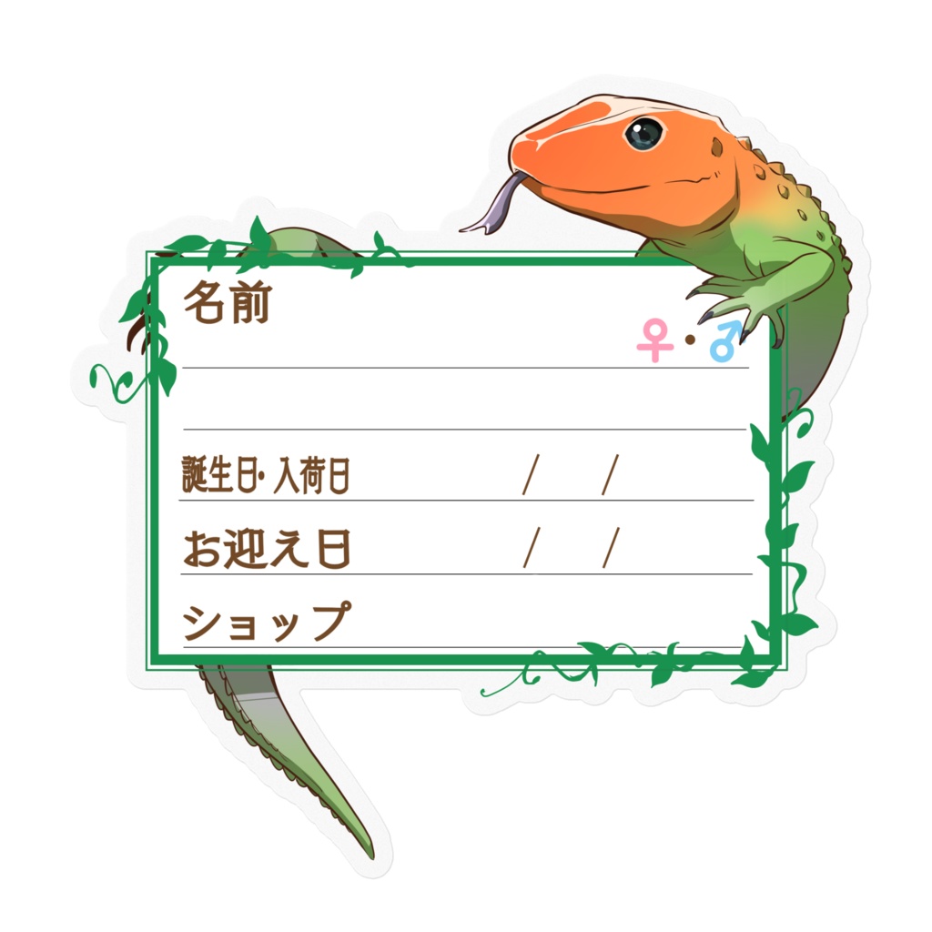 【🦎お名前ステッカー】枠11種類 カイマントカゲ
