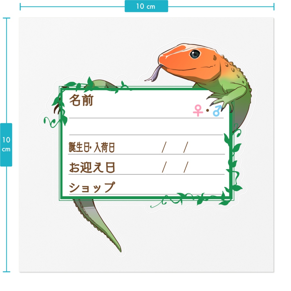 【🦎お名前ステッカー】枠11種類 カイマントカゲ