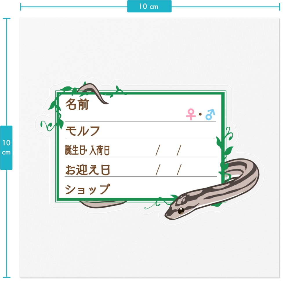 ãðãååã¹ããã«ãŒãæ 11çš®é¡ ã³ãŒã³ã¹ããŒã¯(ã¢ããªã¹ãã©ã€ãã¢ãã¬ãŒ)