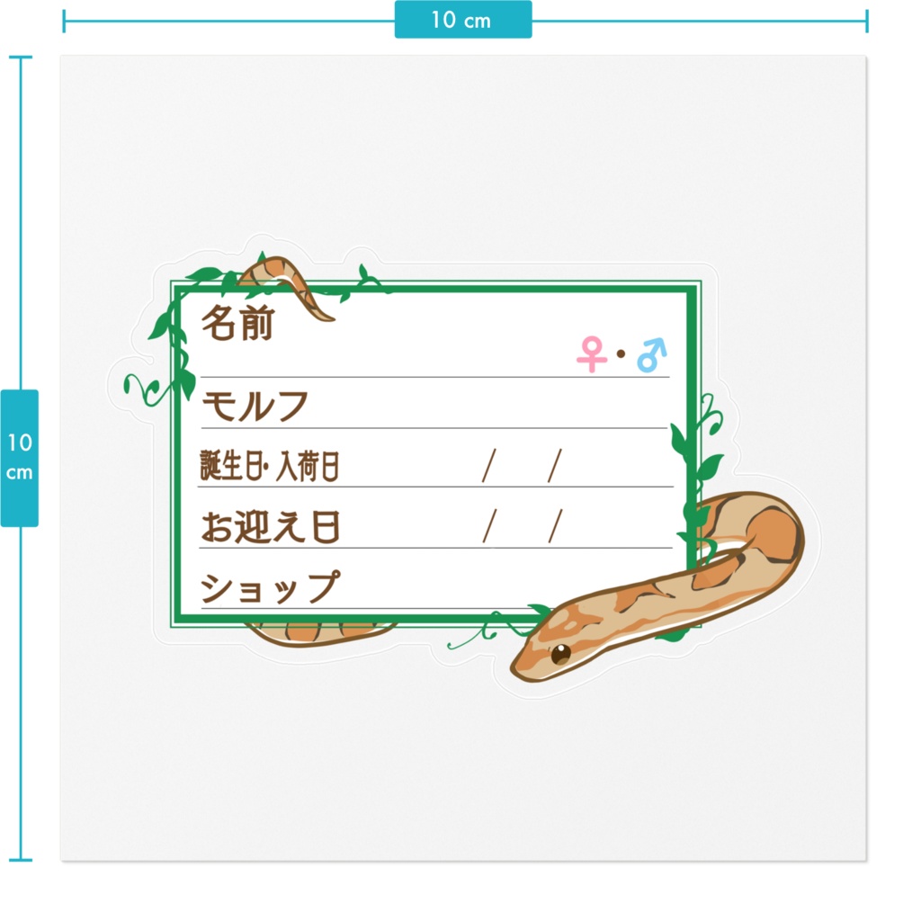 【🐍お名前ステッカー】枠11種類 コーンスネーク(キャラメル)