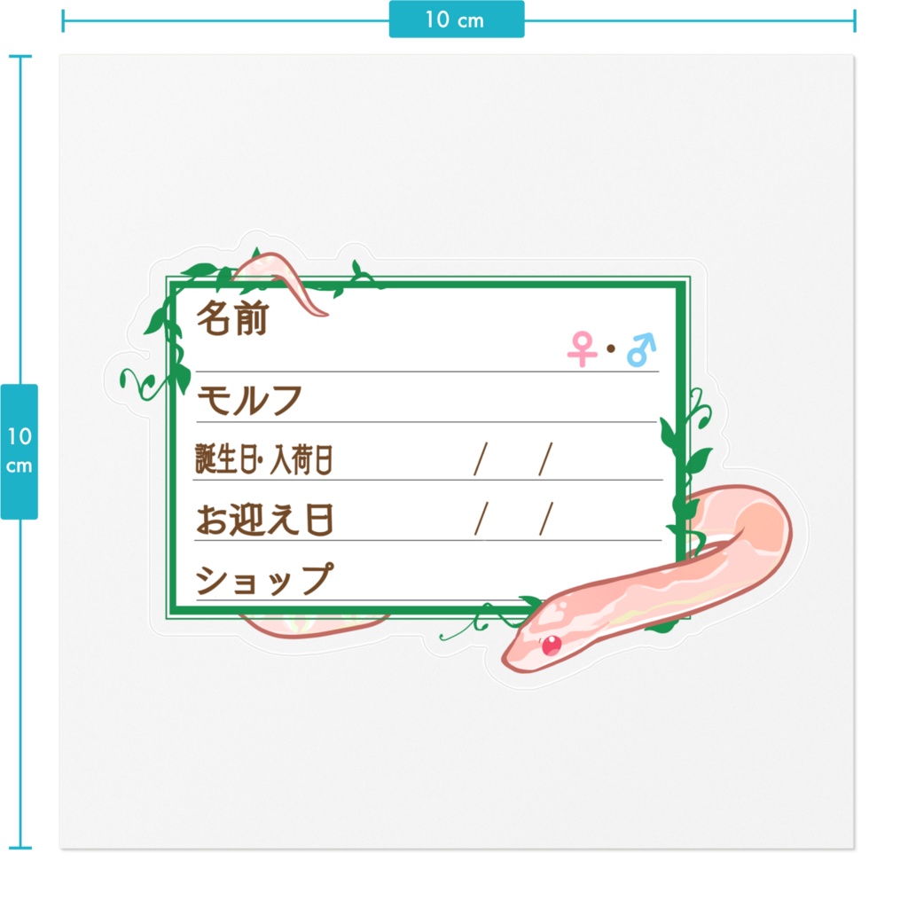 【🐍お名前ステッカー】枠11種類 コーンスネーク(サーモンスノー)