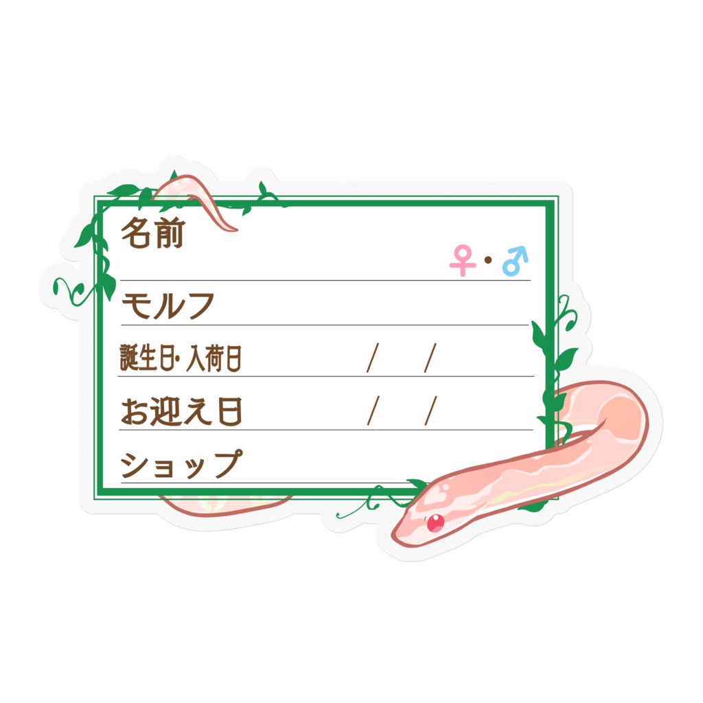 【🐍お名前ステッカー】枠11種類 コーンスネーク(サーモンスノー)