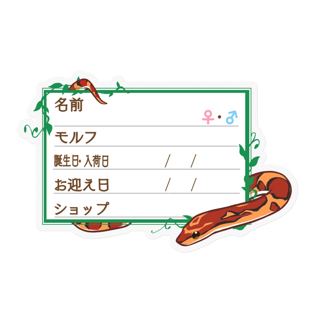 【🐍お名前ステッカー】枠11種類 コーンスネーク(ノーマル)