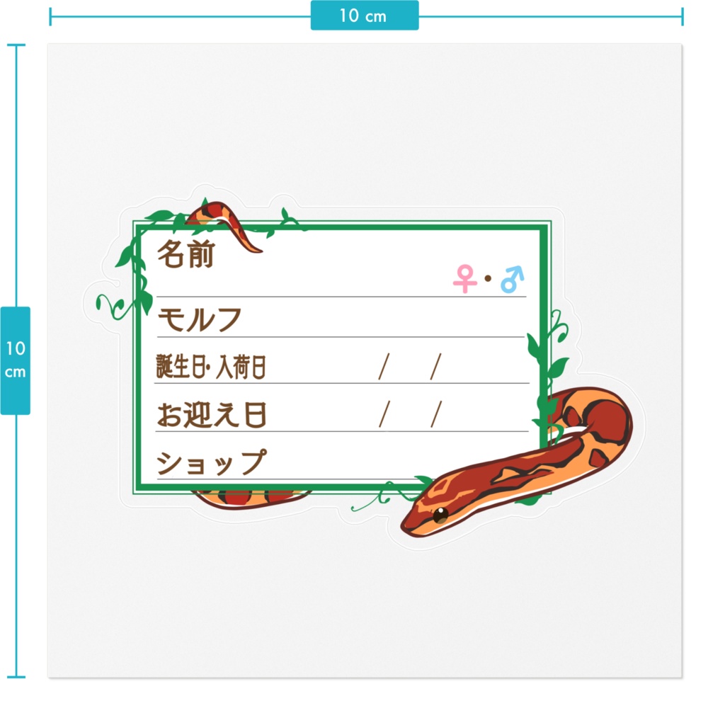 【🐍お名前ステッカー】枠11種類 コーンスネーク(ノーマル)