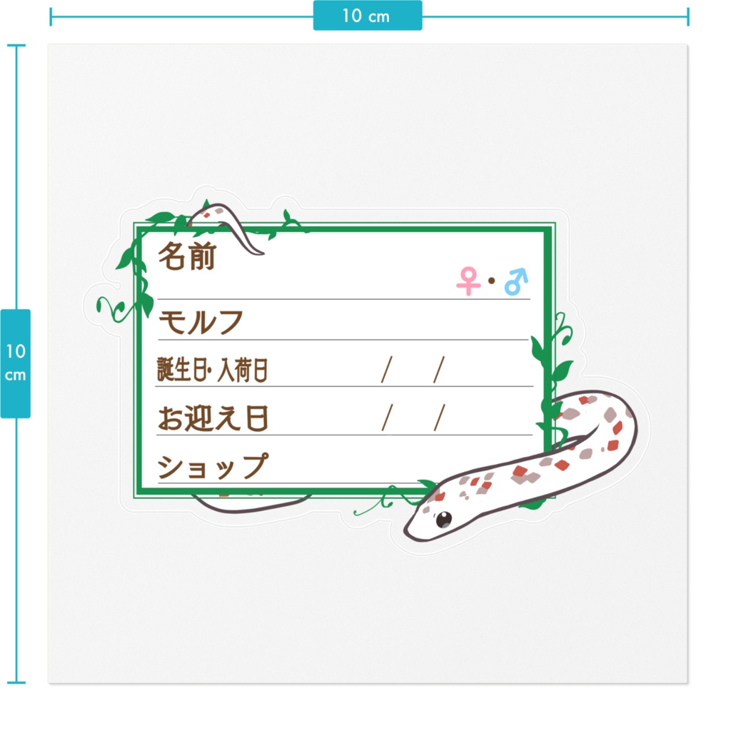 【🐍お名前ステッカー】枠11種類 コーンスネーク(パルメット)
