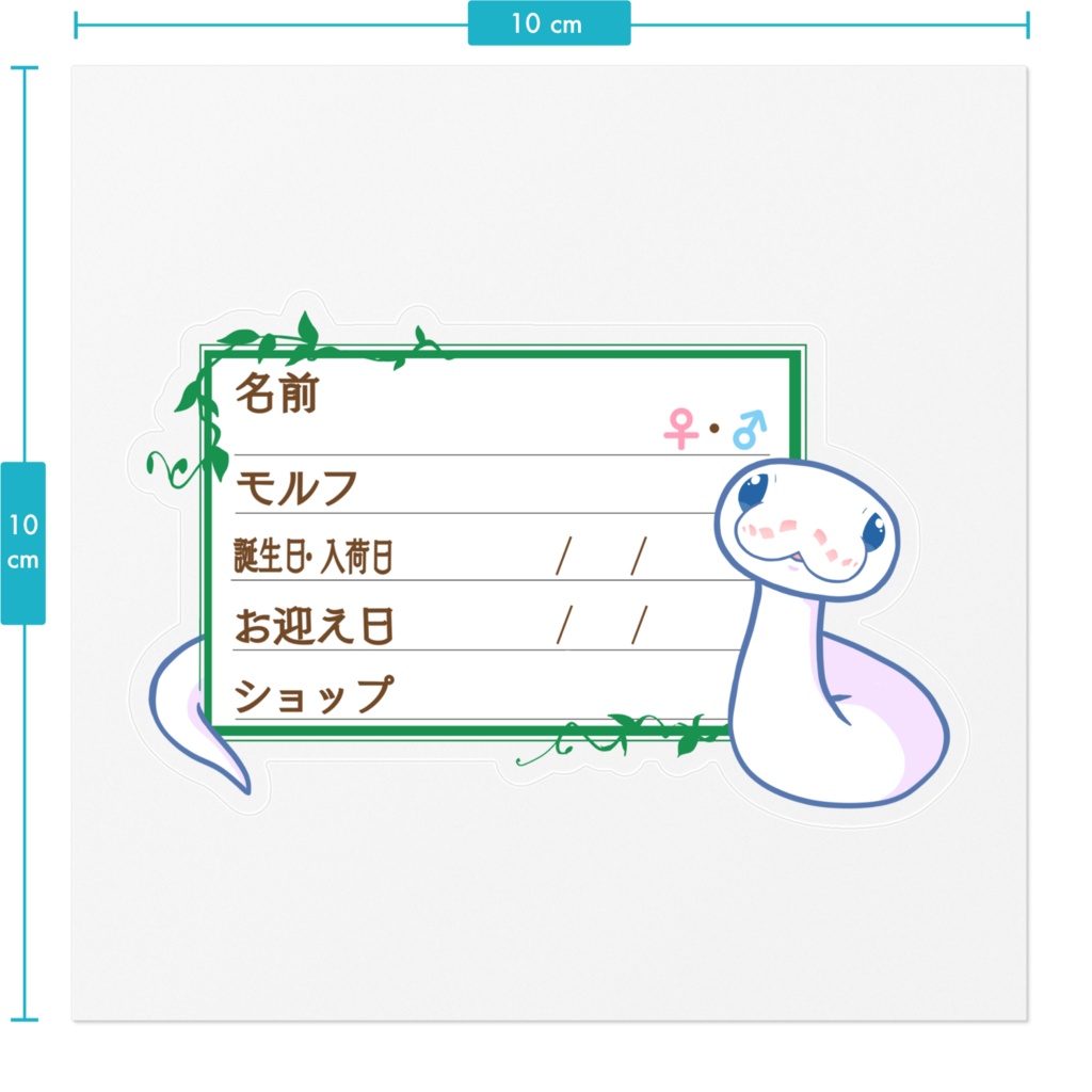 【🐍お名前ステッカー】枠11種類 ボールパイソン(BELミニ)