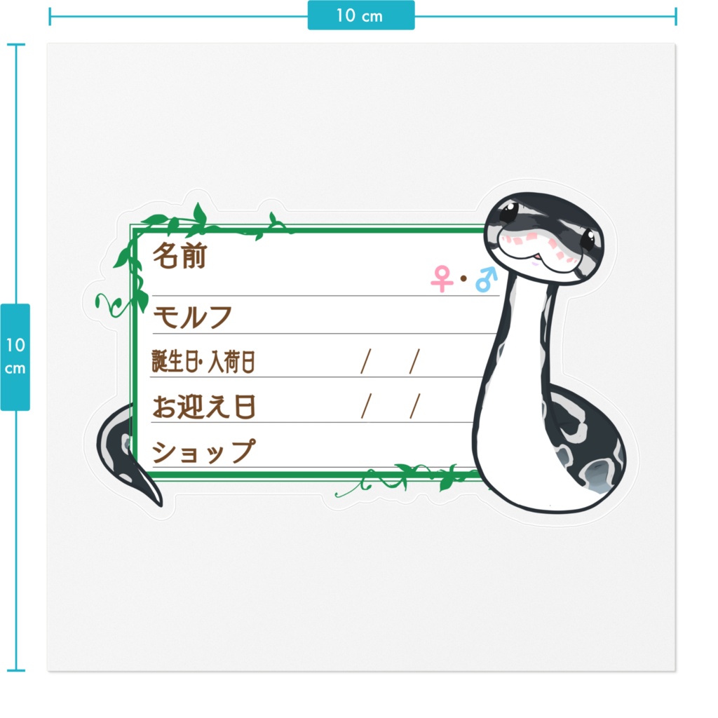 【🐍お名前ステッカー】枠11種類 ボールパイソン(アザン)